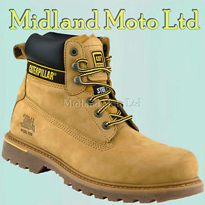 cat shoes image is loading caterpillar-holton-sb-steel-toe-cap-safety-honey- thbuenr