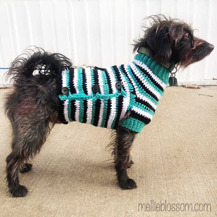 crochet dog sweater - mellieblossom.com nhyqjln