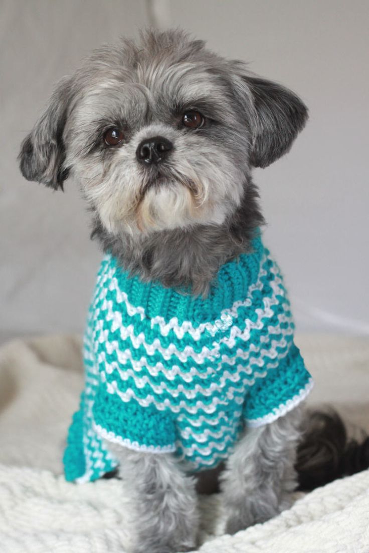 crochet dog sweater patterns to try out xwormqm