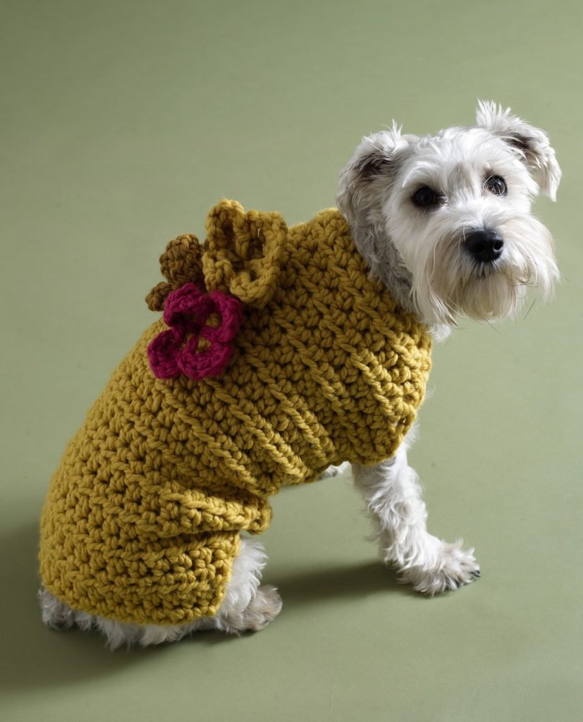 free crochet dog sweater patterns by lion brand dsdrmga