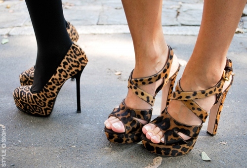 animal print, fashion, feet, girls , heels, high heels - inspiring