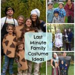 Last Minute DIY Family Halloween Costumes | Family themed .