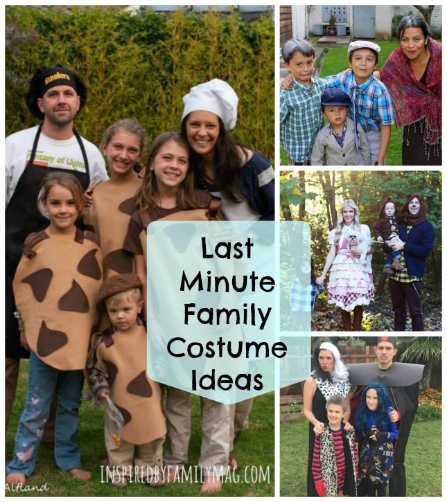 Last Minute DIY Family Halloween Costumes | Family themed .