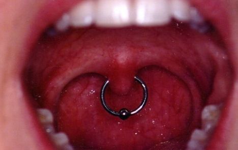 Pin by Anna Phillips on Creepy Freaky Piercings | Body piercings .