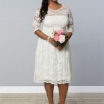 7 Gorgeous Short Plus Size Summer Wedding Dresses | Knee length .