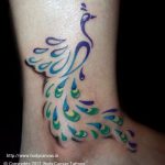 All About Tattoos | Feather tattoos, Peacock tattoo, Tattoo .