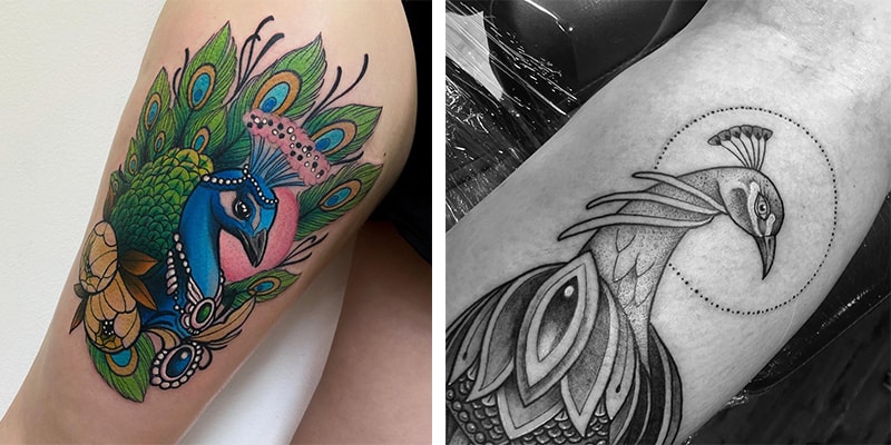 22 Stunning Peacock Tattoo Designs and Where to Ink Th