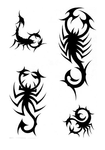 scorpio tattoos simple | Scorpion tattoo, Tribal tattoos, Tattoo .