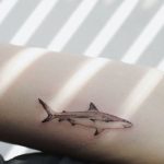 Minimalist Shark Tattoo | Small shark tattoo, Shark tattoos, Tatto