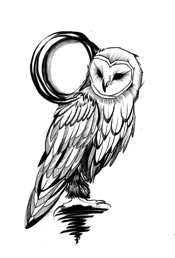 Owl Tattoo Design Ideas