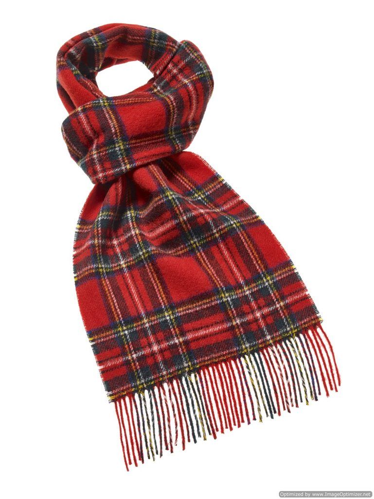 The Versatile Tartan Scarf: A Must-Have
Accessory for Every Season