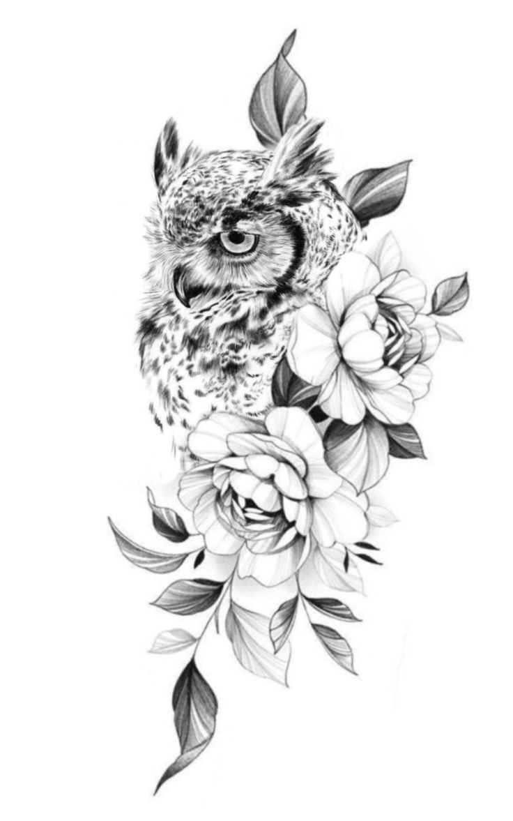 Owl Tattoo Design Ideas