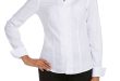 white blouse women white blouses: womenu0027s clothing u0026 apparel | dillards.com jgznmpw