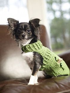 crochet dog sweater dapper doggie sweater teaxfwd