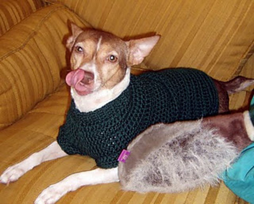 crochet dog sweater dog sweater tutorial ... qrdkhky