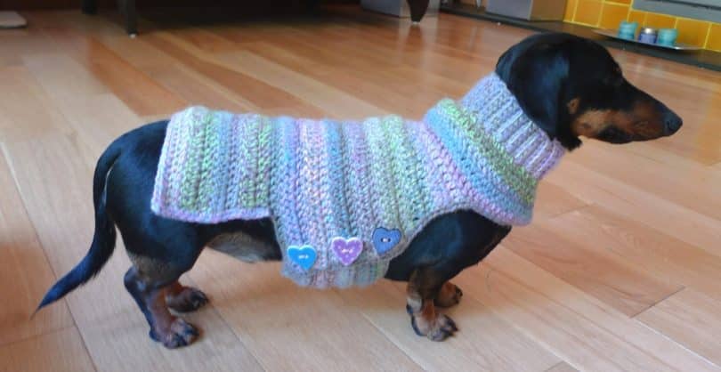 crochet dog sweater homemade dog sweater ebayghd