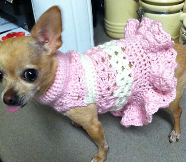 crochet dog sweater patterns for beginners ajbhmym
