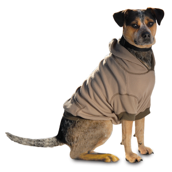 On-the-Go Thermal Dog Hoodie - Taupe | BaxterBoo