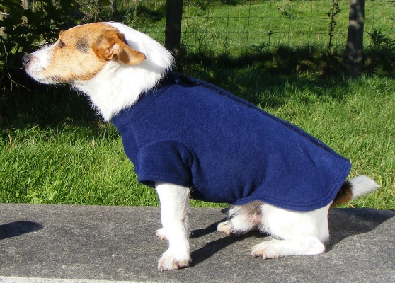 Fleece Dog Jumpers ▻ Dress The Dog - clothes for your pets!