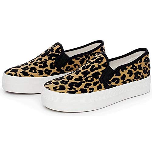 Leopard Print Sneaker: Amazon.com