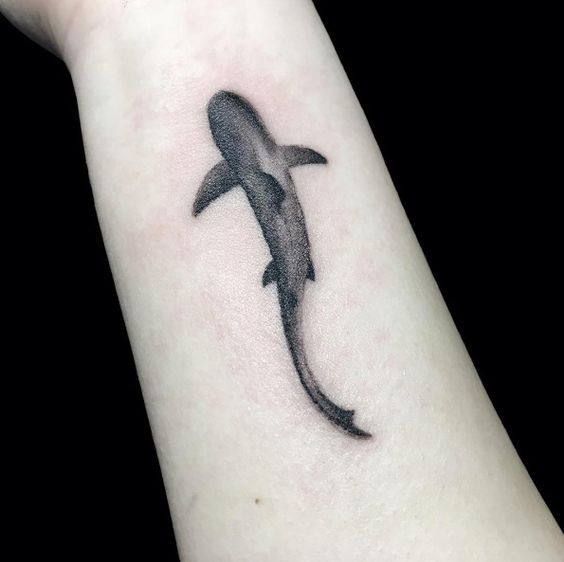Small shark tattoo on wrist by Brigid Burke | Small tattoos for .
