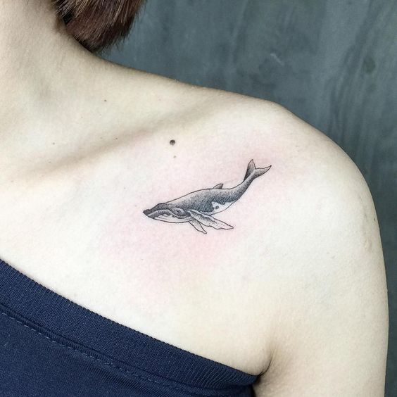 26 Incredible Shark Tattoo Ideas for Women | Whale tattoos .