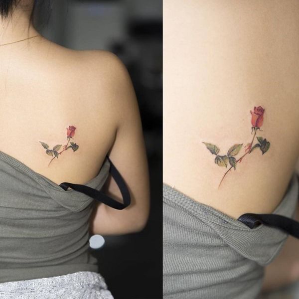 climbing rose | Subtle tattoos, Tattoos, Small rose tatt