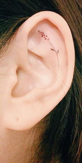 23 Tiny Ear Tattoos That Are Better Than Piercings | Inner ear .