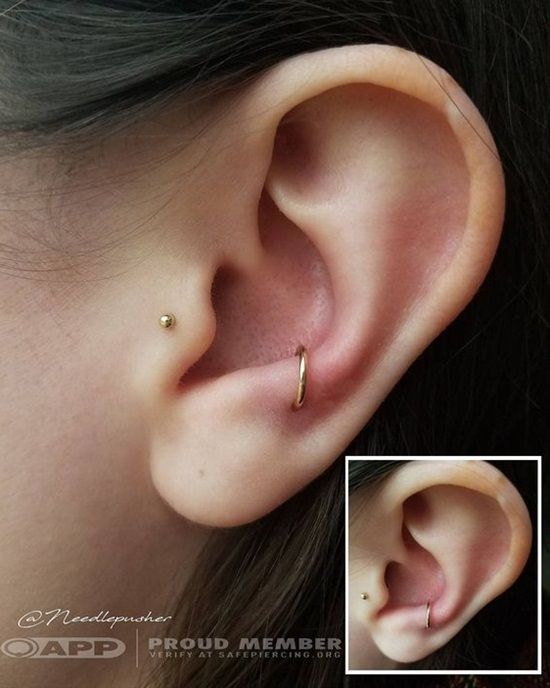 Anti- Tragus Small Ring | Earings piercings, Cute ear piercings .