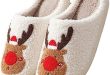 Cozy and Cute Slippers for Every Occasion and Temperature