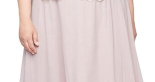 Our Take on the Alex Evenings Plus Size Lace Mock Dress