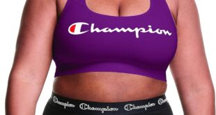 Our Take on the Champion Plus Size Absolute Workout Sports Bra