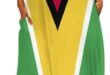 Why We Love the TAIZIYEAH Guyana Flag Summer Dress XL