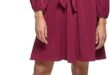 Dkny Womens Long Balloon Sleeve Front Tie Mini Dress For You