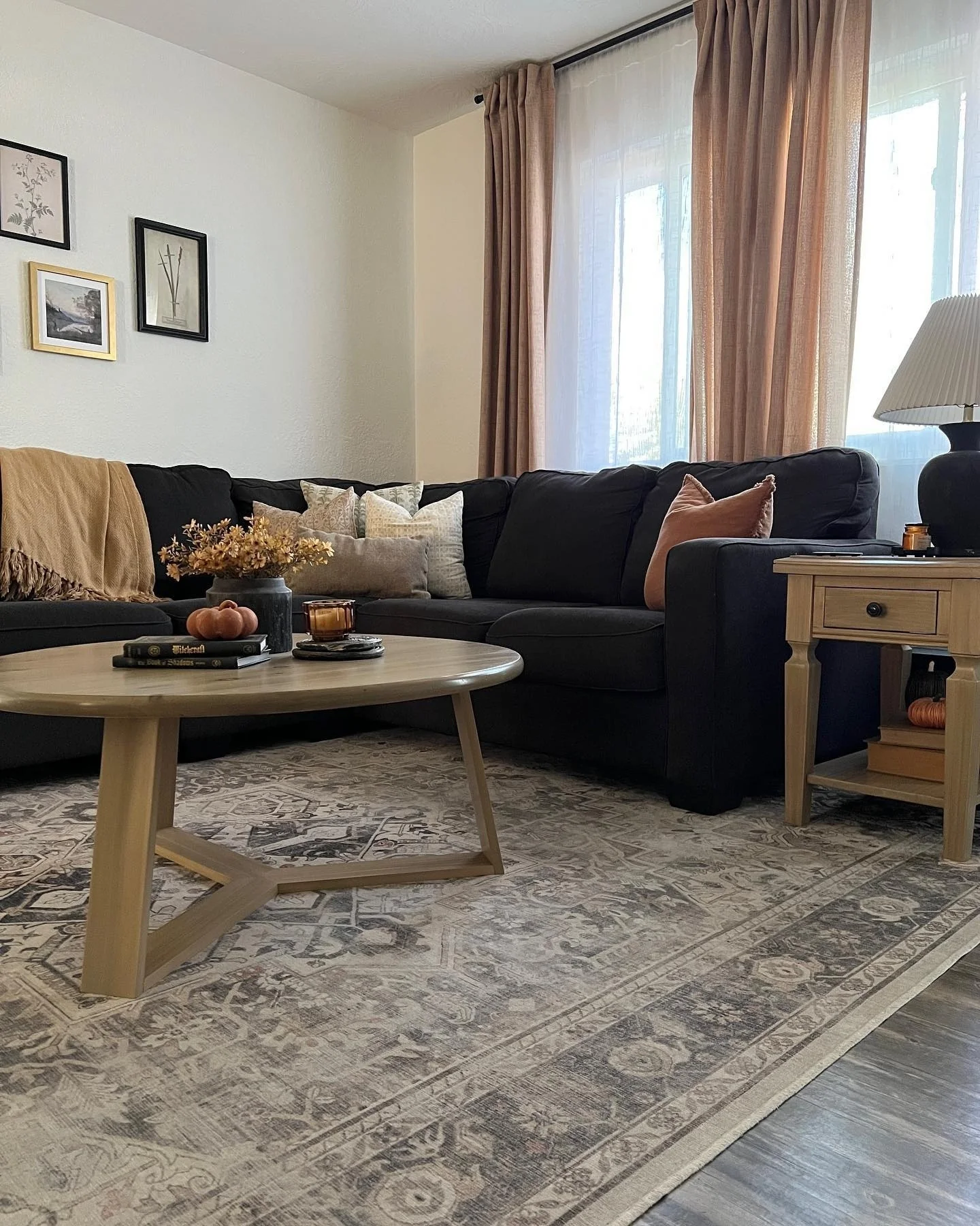 Muted Gray Rug with Modern Comfort Styling