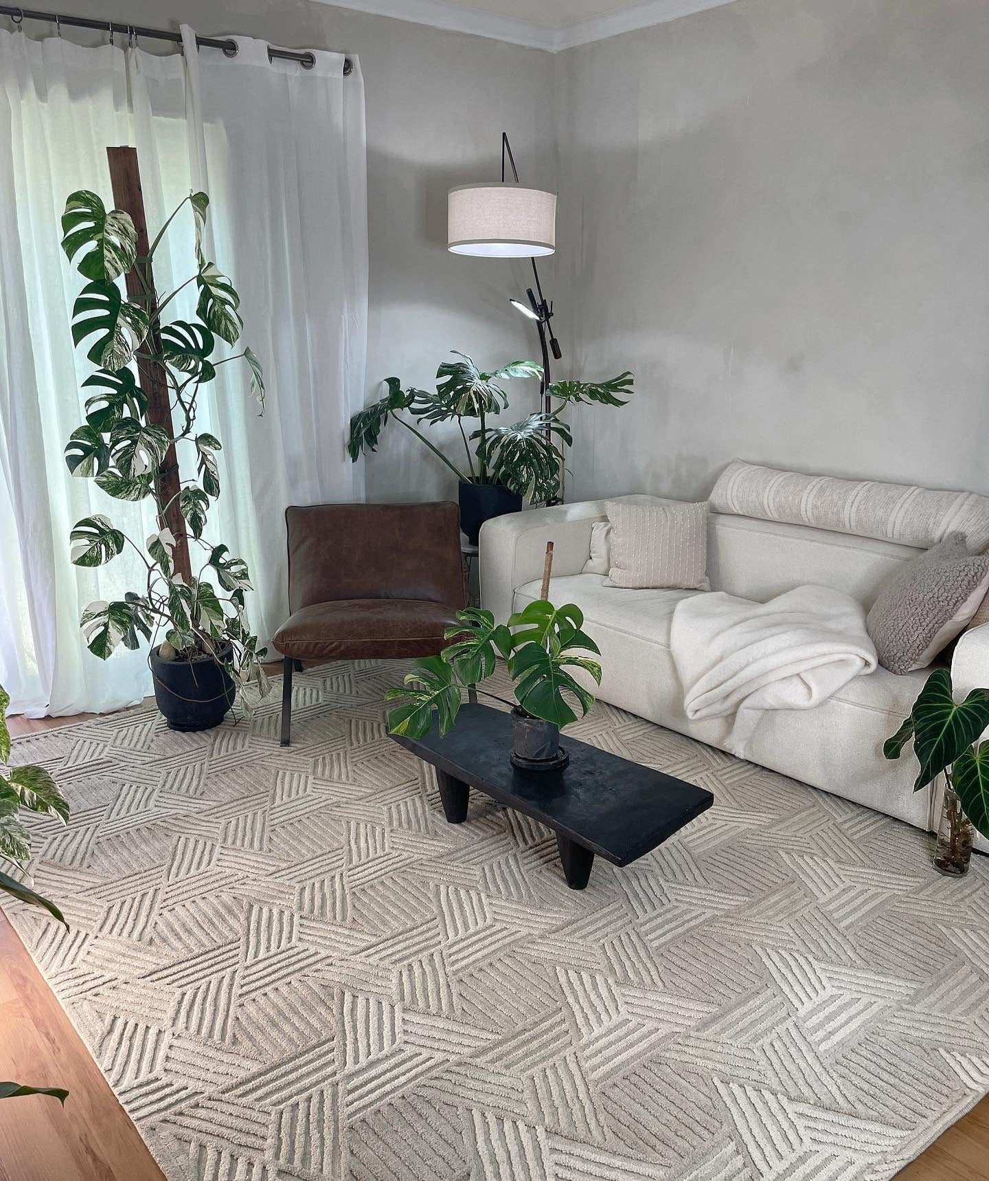 Textured Neutral Rug with Indoor Greenery Focus