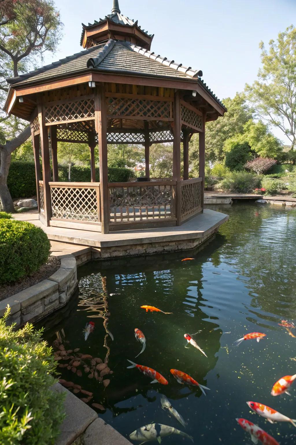 A koi pond elegantly shaded by a traditional gazebo.