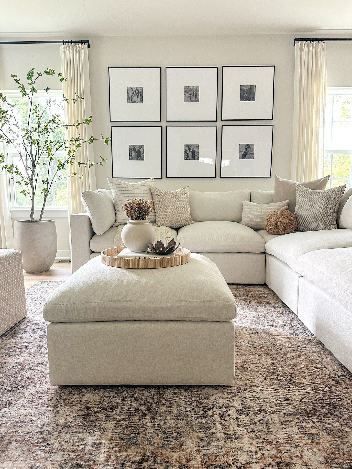 Symmetrical Neutrals with Artistic Framing