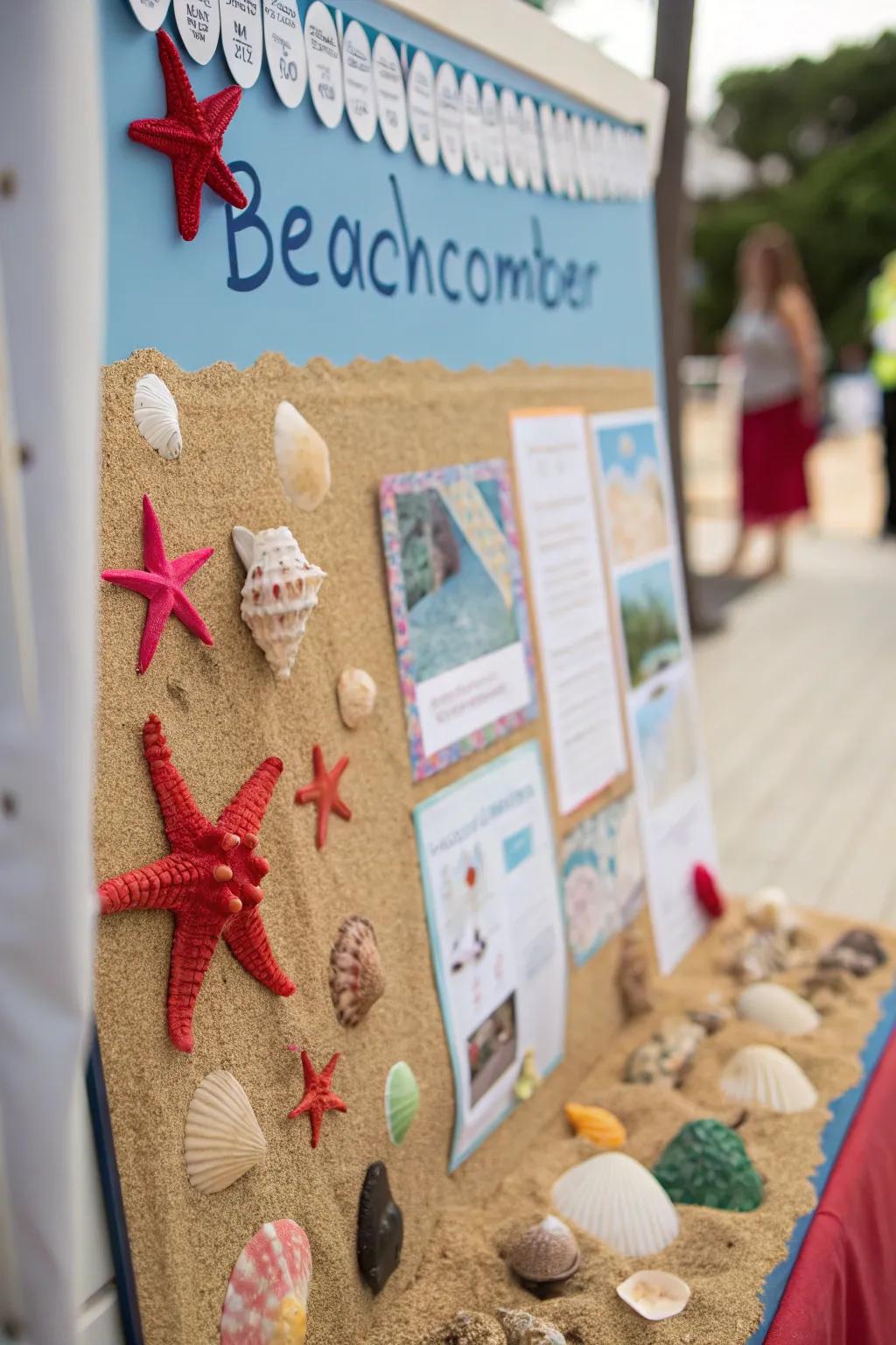A'Beachcomber's Cove' bulletin board with seaside treasures.