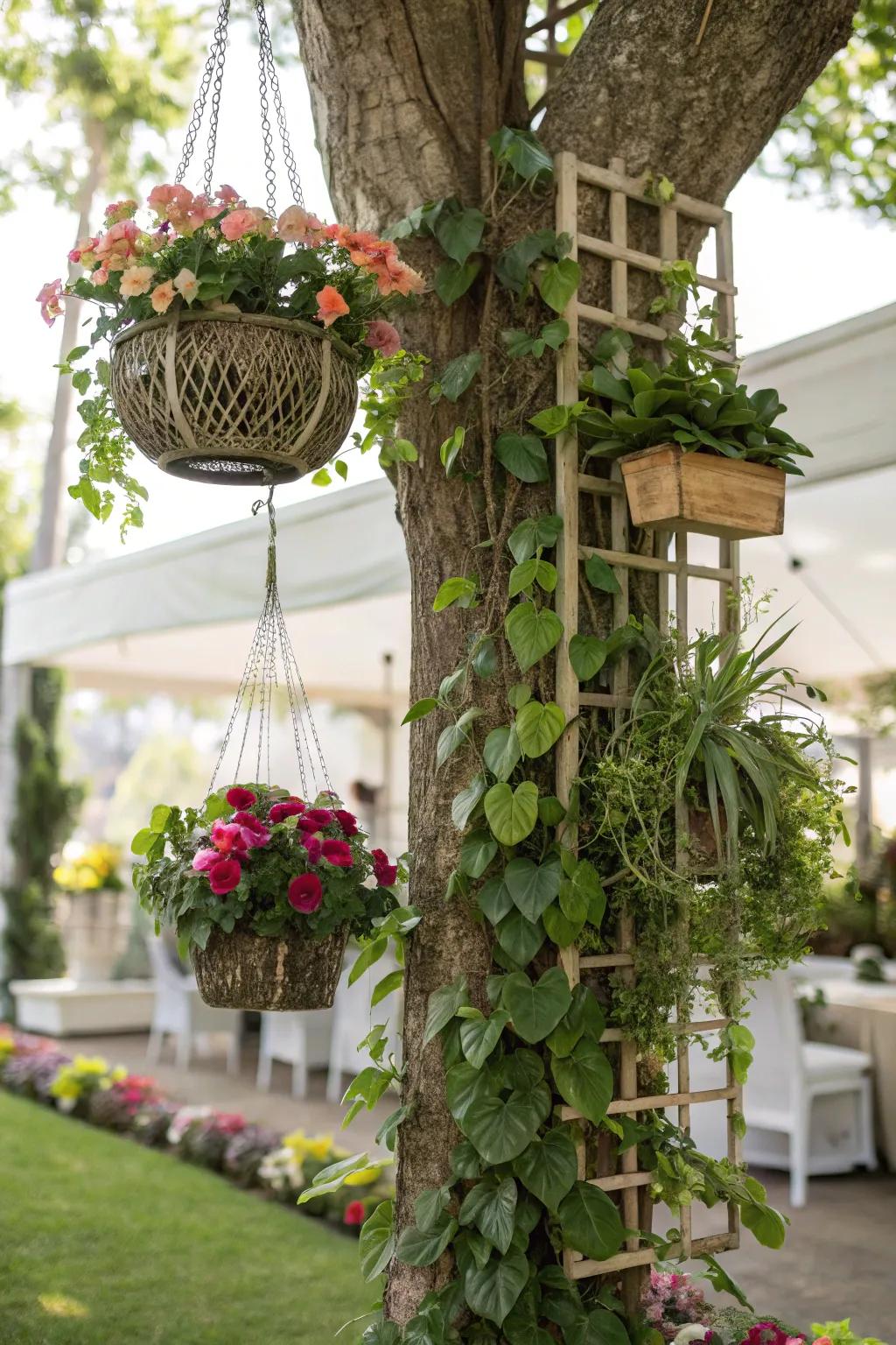 Vertical gardening contributes tiers and fascination to tree landscapes.