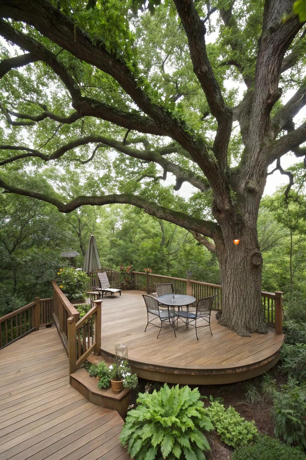 A deck or patio encircling a tree unifies nature with living space.