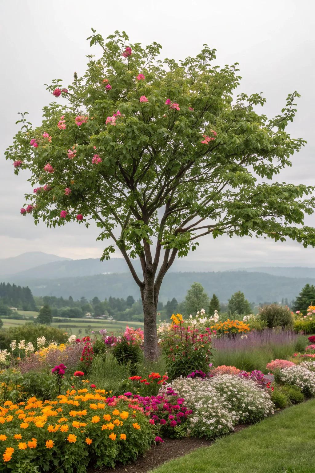 Perennials ensure continuous beauty and simple care near trees.