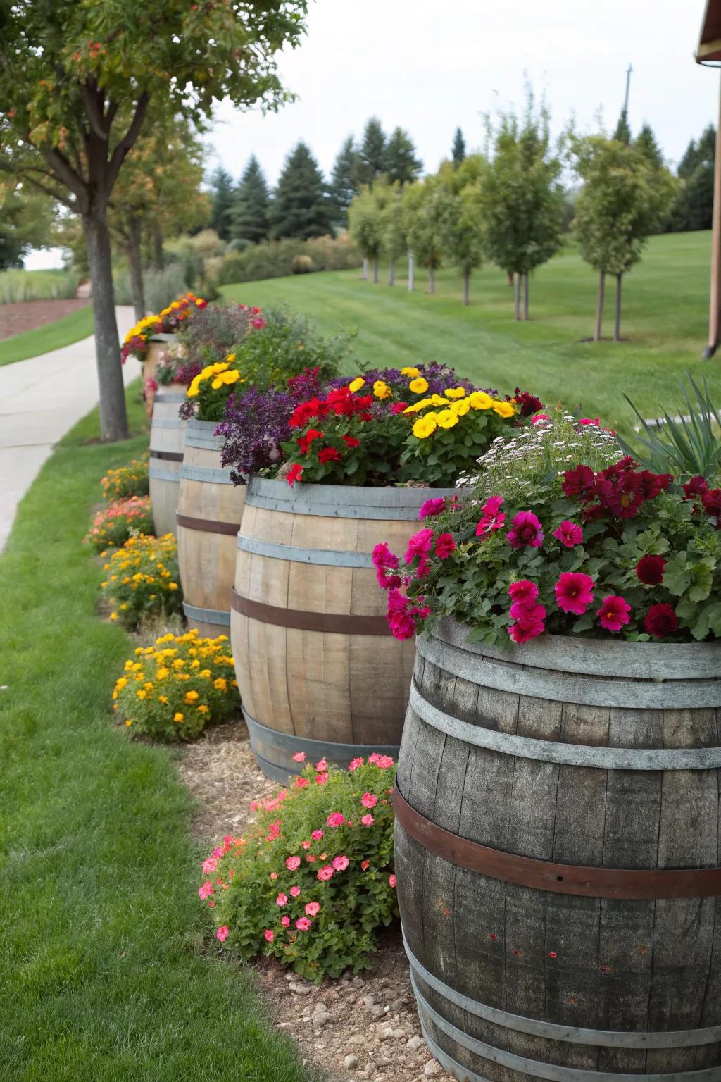 Impart country allure with wood barrel growing pots.