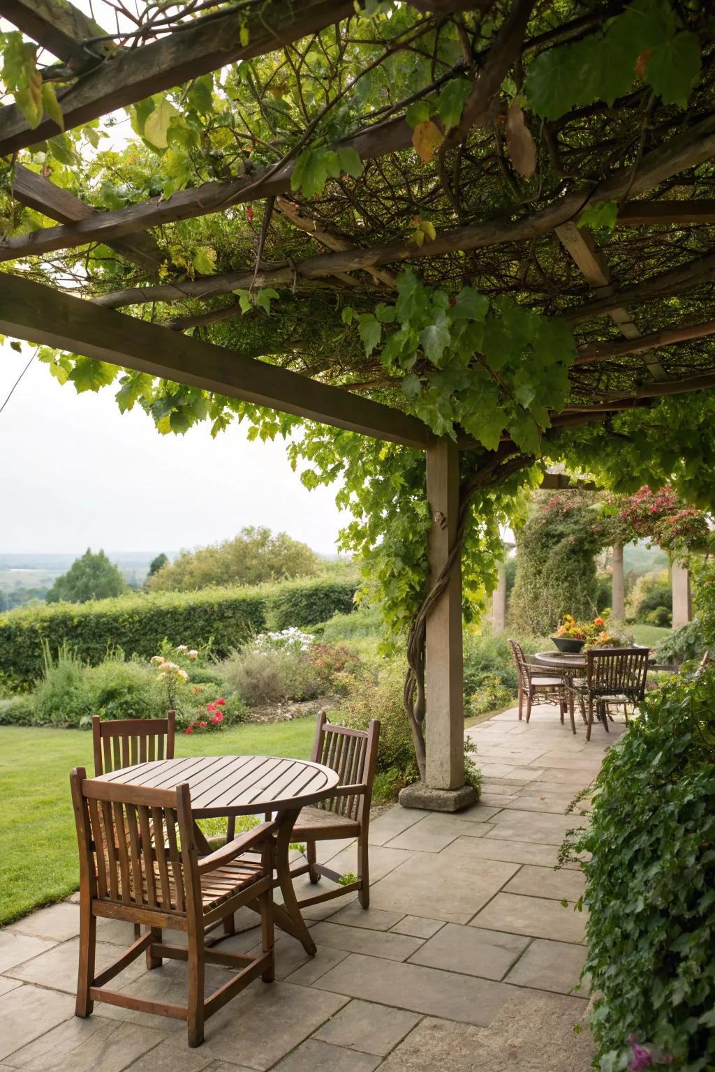 Welcome nature into your patio with a pergola and climbing vines.