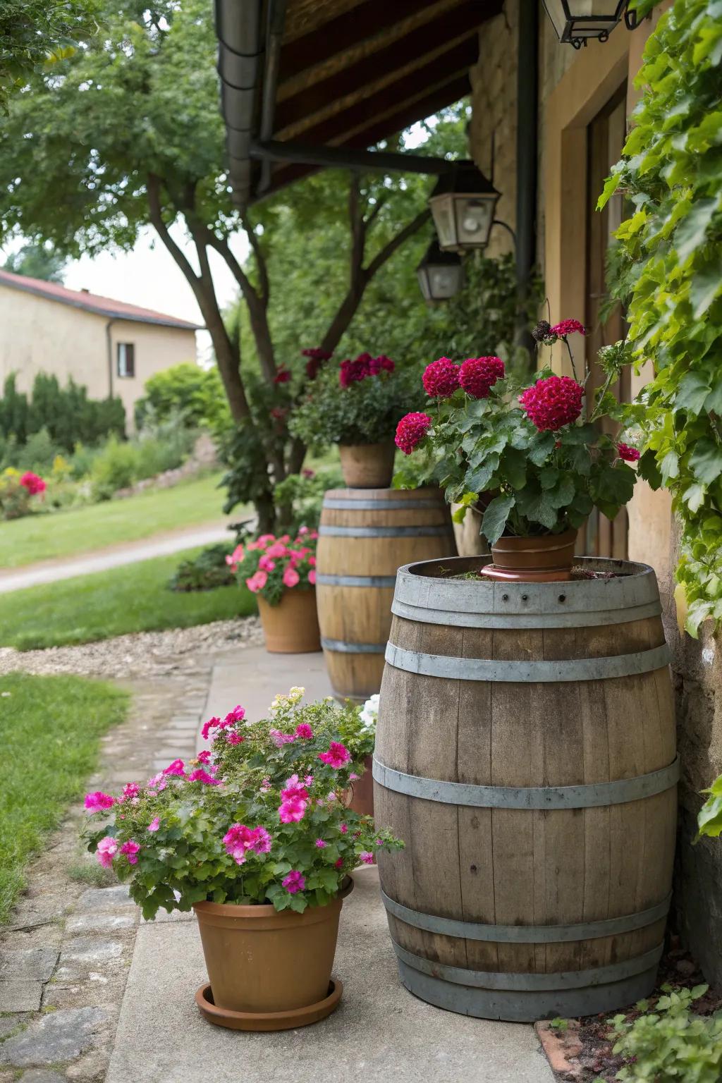 Rustic barrels alongside modern vases create an enchanting garden spectacle.