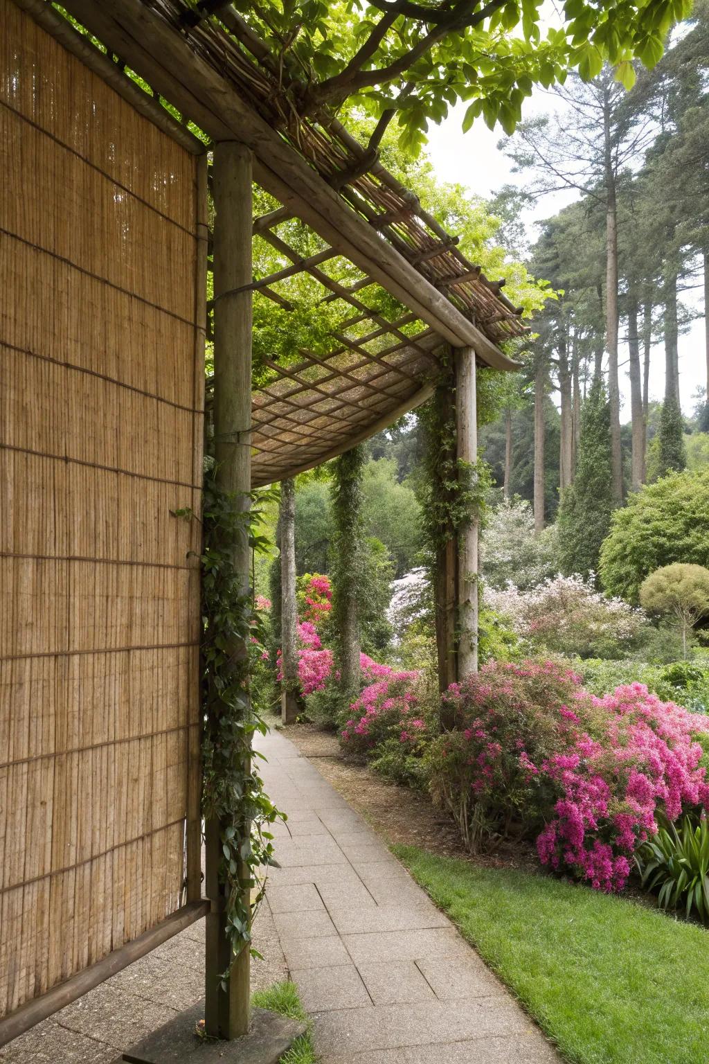 Reed screens provide a natural and sustainable privacy option.