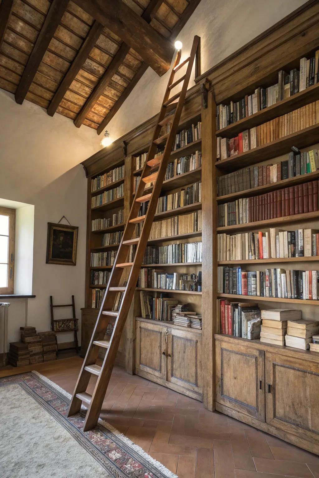 Develop a library feel with imposing bookcases and a ladder.