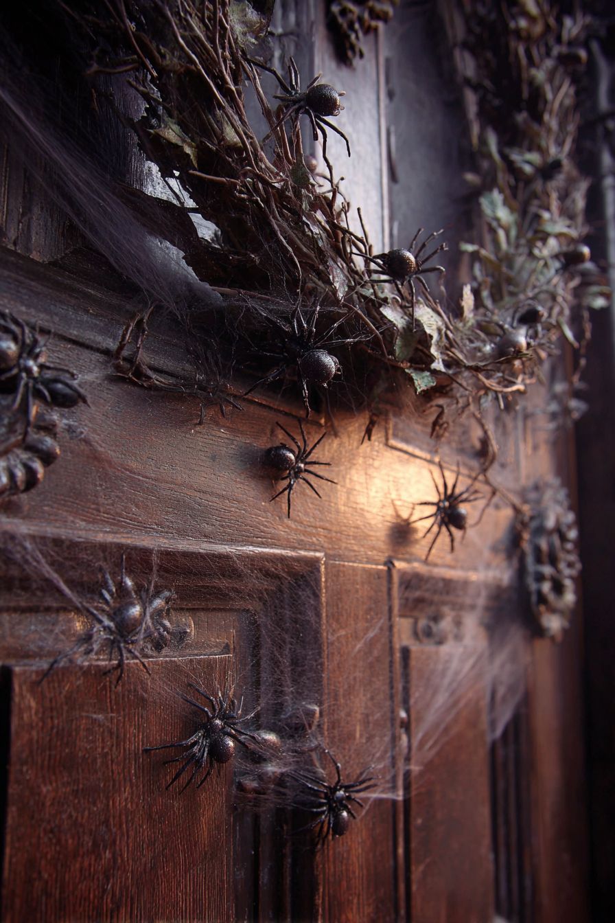 Frame the Door with Creepy Crawlers